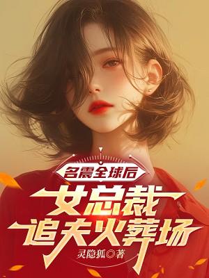 女总裁追夫的